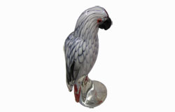 Murano Glass Parrot IMG-768A