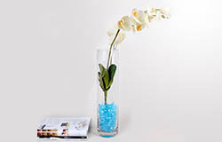 Other Glass Vase