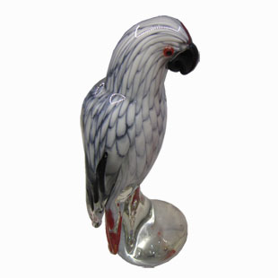 Glass Parrot