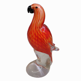 Glass Parrot