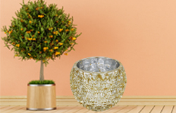 Glass Candle Holder