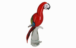 Glass Parrot