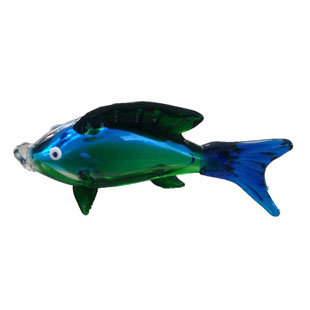 Glass Fish